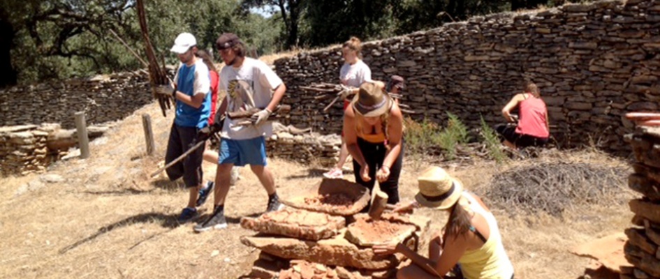 1553946466709CampoTrabajoEstandar