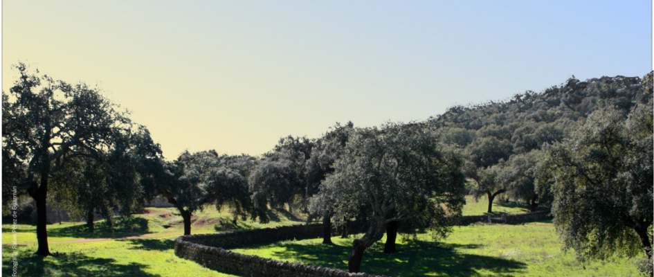 CARTEL JORNADA RESERVA BIOSFERA