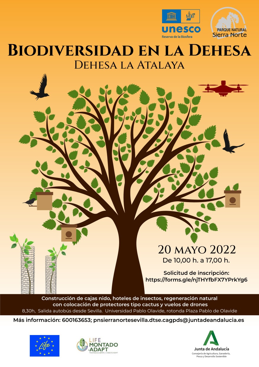 cartel taller biodiversidad